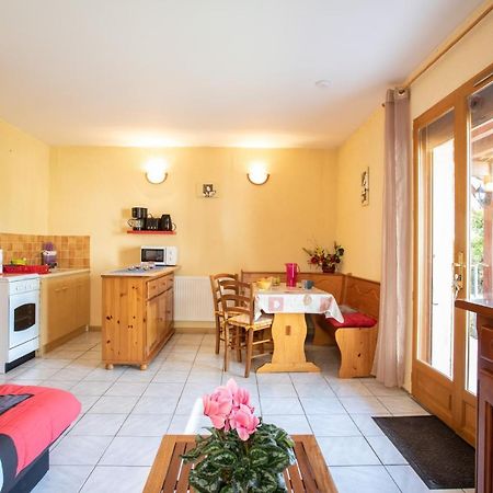 Apartamento Le Mont Guillaume - 1 Chambre Terrasse Et Jardin Saint-André-dʼEmbrun Exterior foto